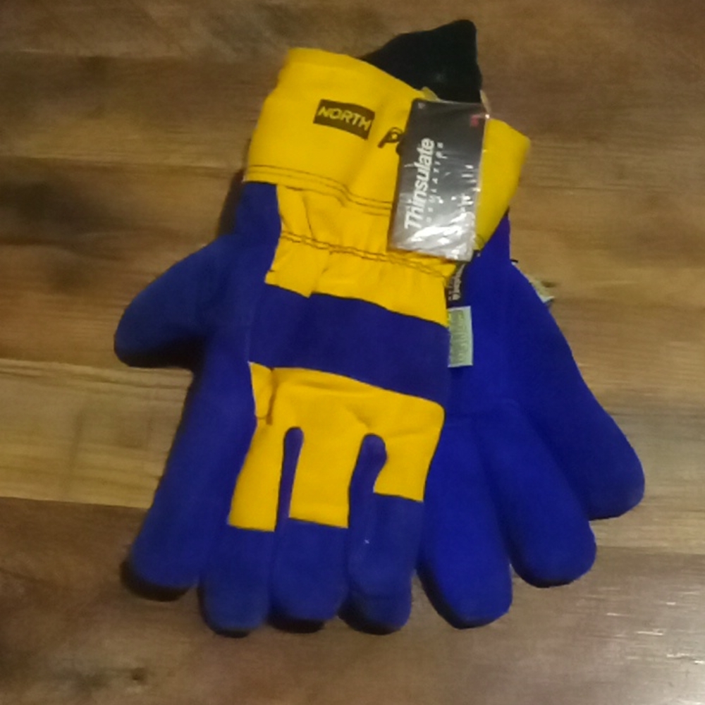 Very nice brand new with tags North polar gloves